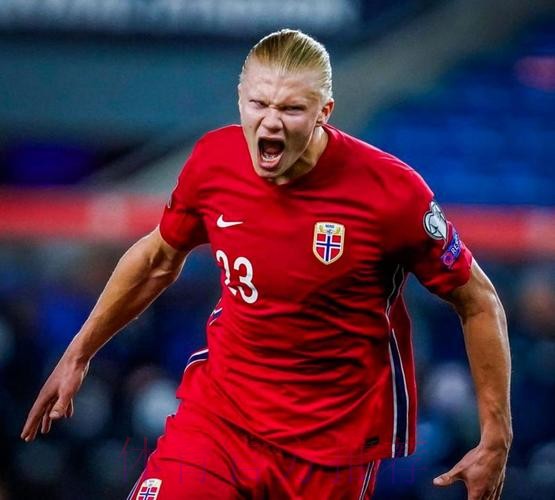 2026世界杯葡萄牙哈兰德比赛解读深度解读 2026世界杯葡萄牙哈兰德比赛解读深度解读